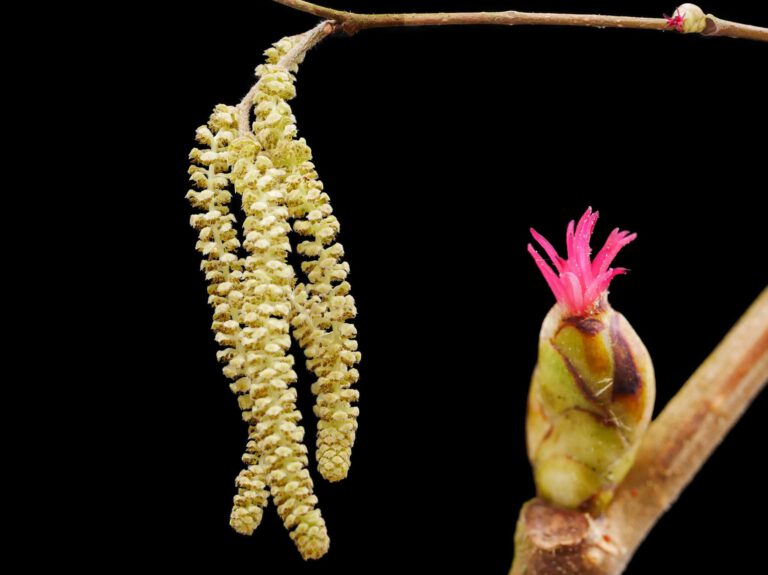 FB_IMG_1759172978090