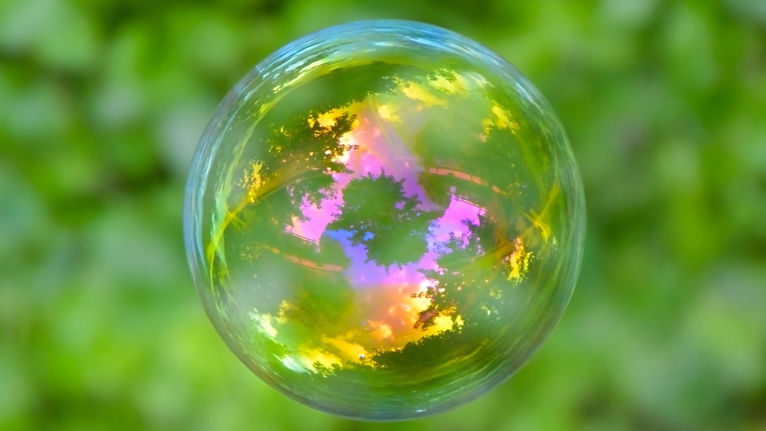 environment-3130662_1280